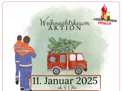 Weihnachtsbaum sammeln 2025